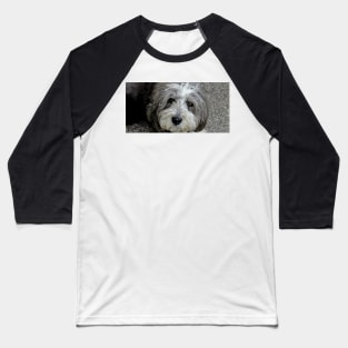 Cassie Bonny Lassie Baseball T-Shirt